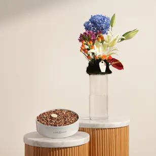 Aani & Dani Trifle Pecan Nut Caramel Cake | Color Ascending Flower Vase