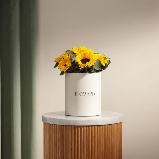 Fields of Light Sunflowers Box | 13 Flowers