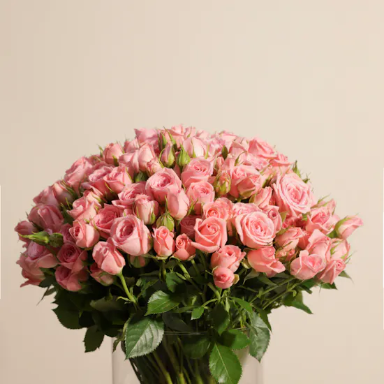 Pink Baby Roses Vase | 50 Flowers