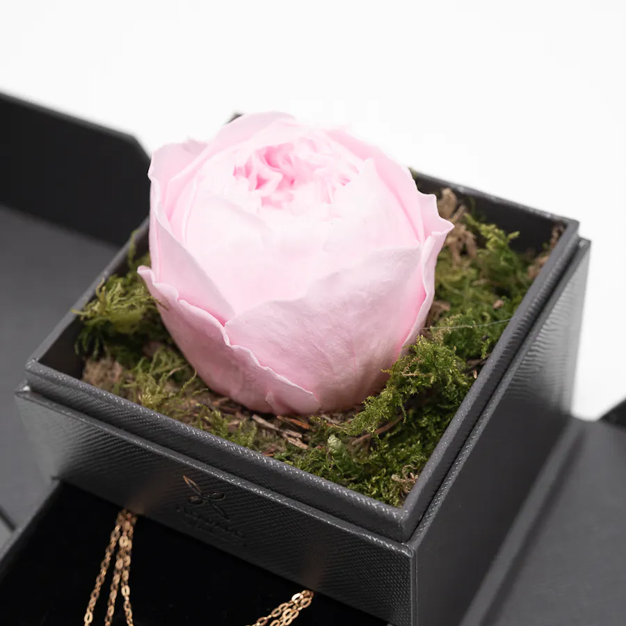 Nava Jewelry Layered Gold Necklace | Preserved Peony Rose  3