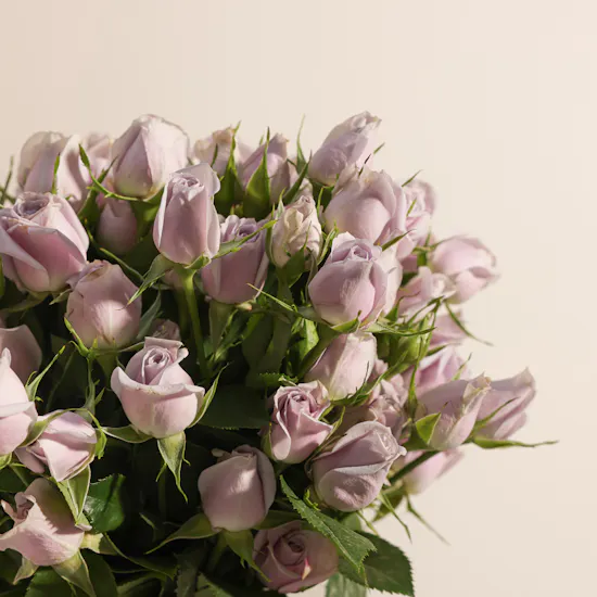 Mubkhar Home Spray | Purple Baby Roses Vase