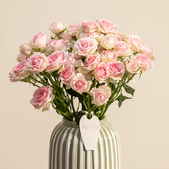 Nno Pink Baby Rose Fruta Vase