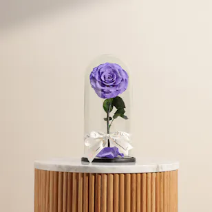 Single Preserved Purple Rose in a Glass Dome