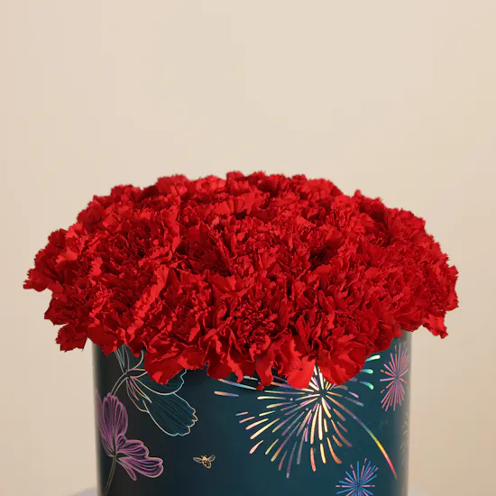 Romantic Red Carnation Box | 35 Flowers