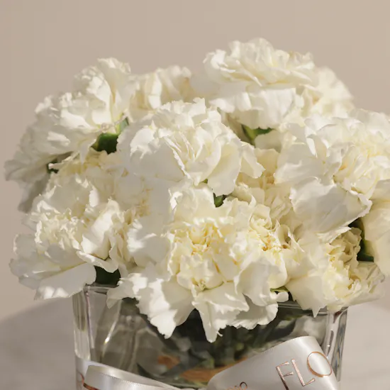 Pure Carnation Flowers Vase
