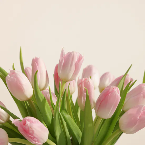 Soft Touch Tulip Box