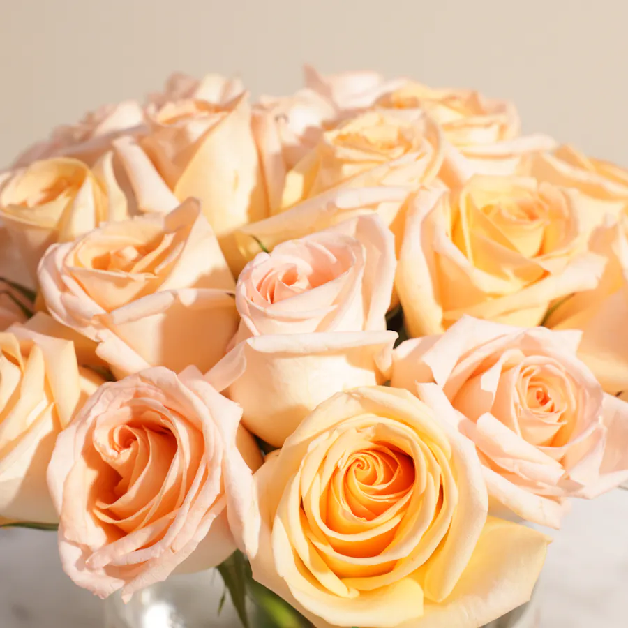 Graceful Peach Rose Vase | 25 Roses 4