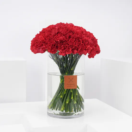Red Carnations | Cylinder Vase