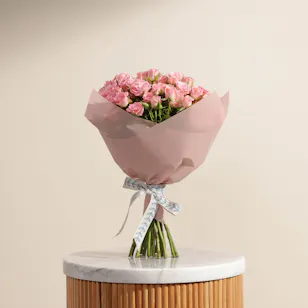 Forever Pink | Baby Roses Forever Pink | Baby Roses