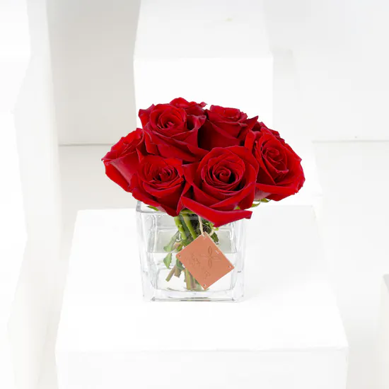 10 Red Roses | Square Vase