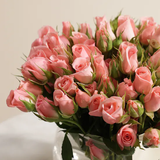 Festive Glam Pink Baby Rose Vase