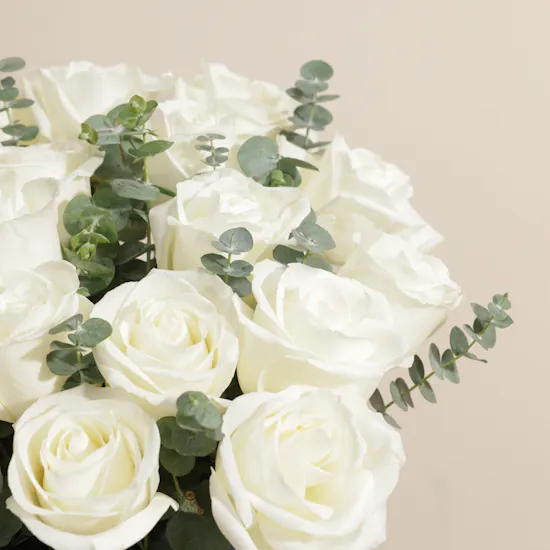 Soft Whisper Roses Box