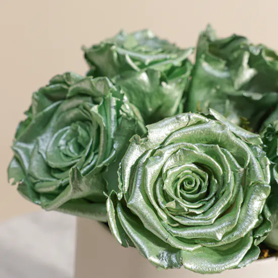 Preserved Green Roses Box