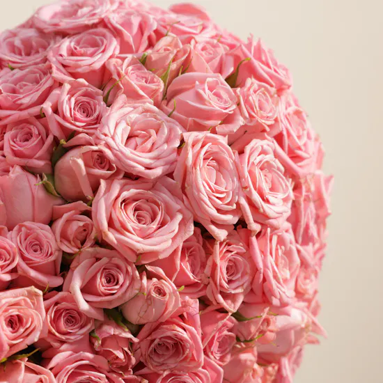 Pink Baby Rose Heart Shape Stand