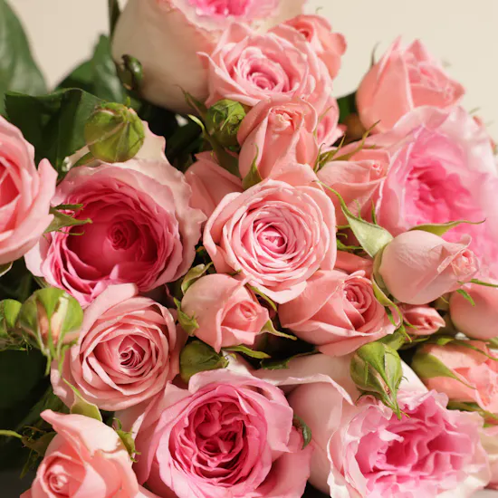 Soft Blush Pink Roses Bouquet