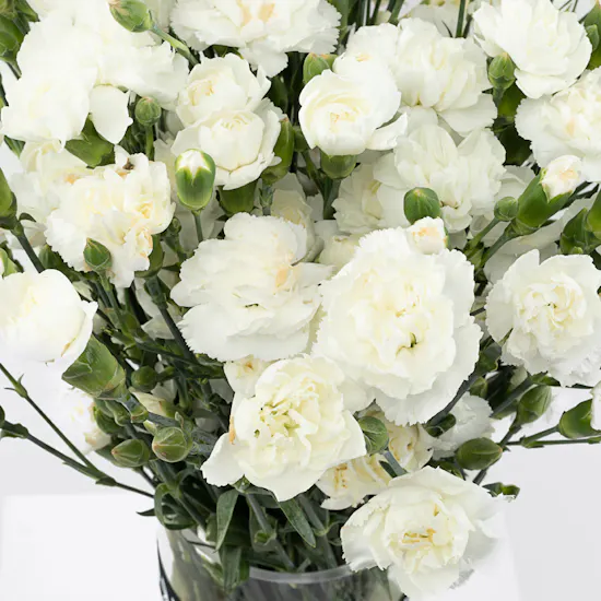 Iceberg | Cylinder Vase