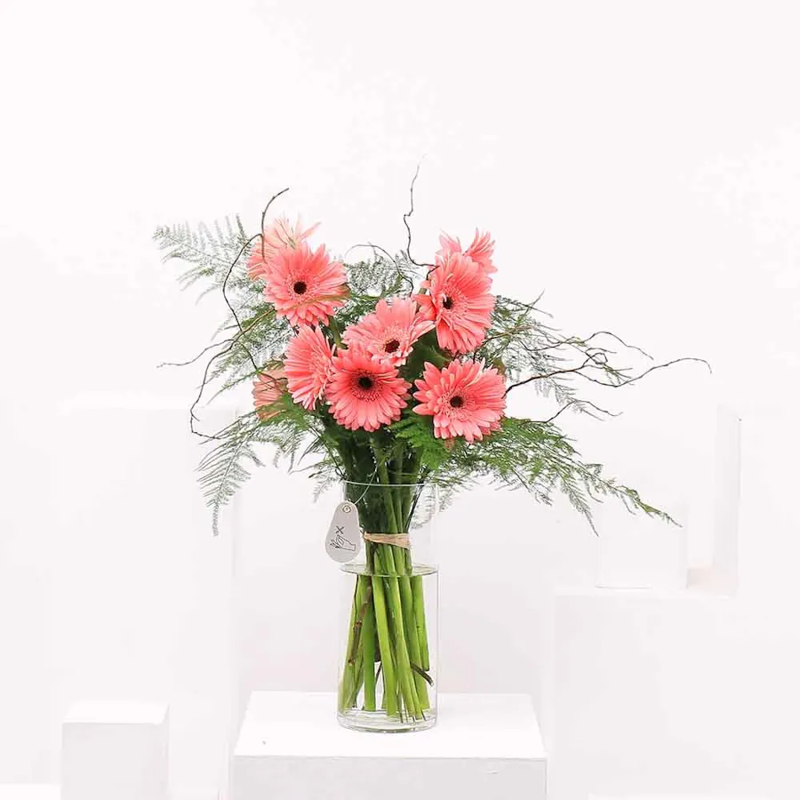 15 Pink Gerbera | Cylinder Vase 1