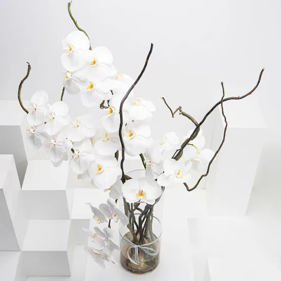 Elegant Orchid | Glass Vase