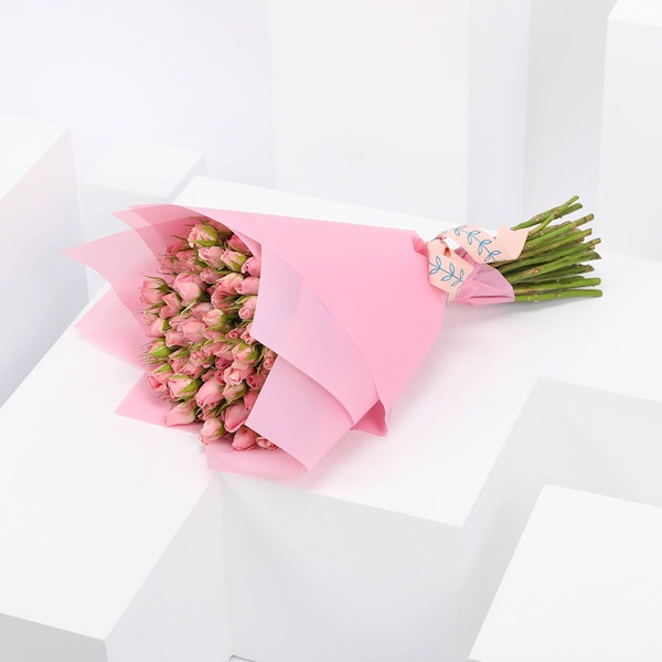 Bouquet Soft Pink Flowers Pink Wrapping Paper Woman Hands Isolated Stock  Photo by ©zaiarnyi 469577836