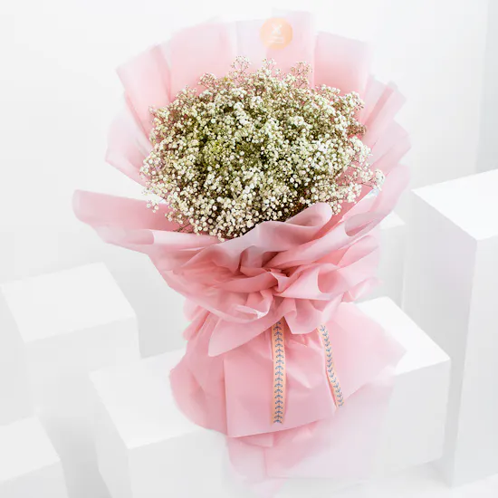 Gypso Lover | Pink Wrap