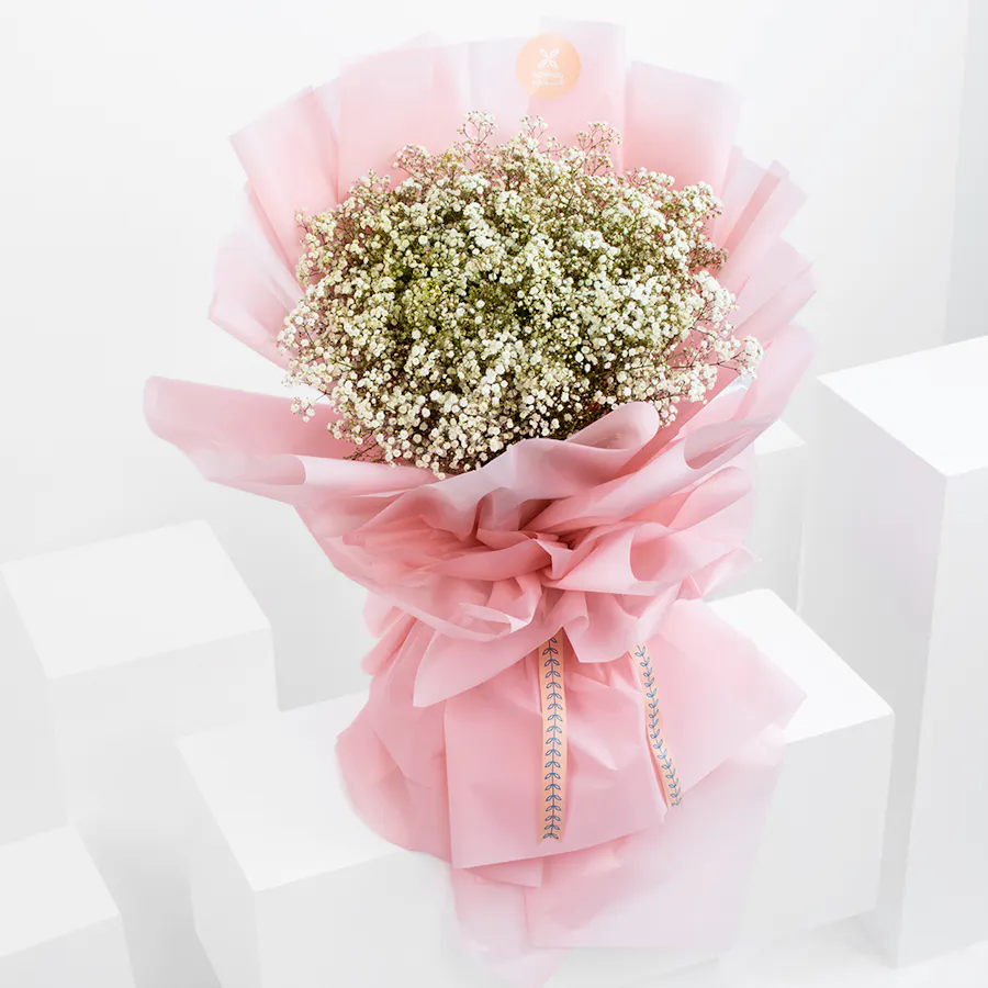 [USED IN AUTOMATION] Gypso Lover | Pink Wrap 3