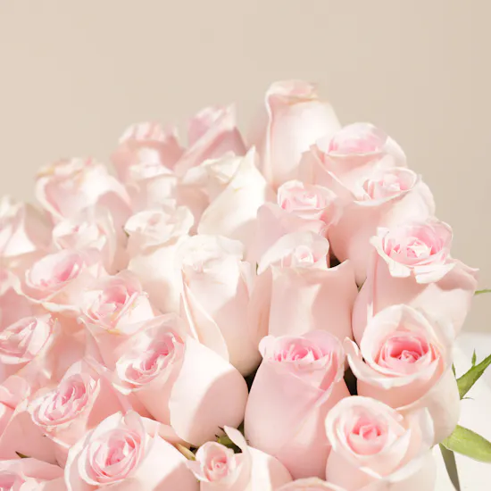 Cute Light Pink Roses Box | 55 Flower
