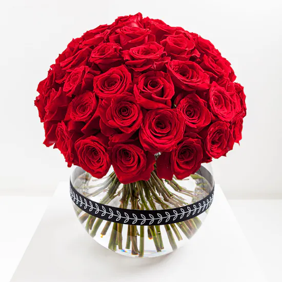 50 Red Rose | Fishbowl