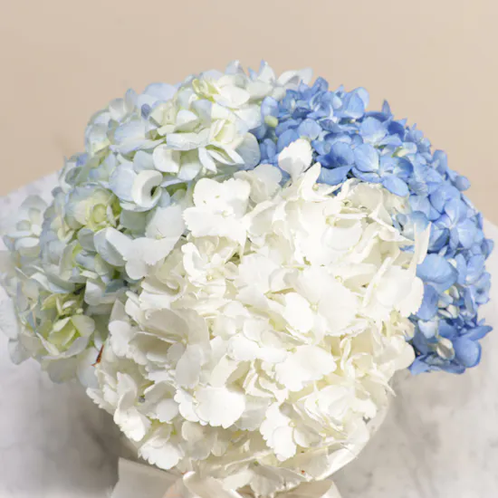 Delightful Hydrangea Vase