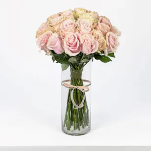 25 Pink Rose Vase 25 Pink Rose Vase