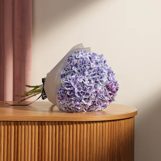 Hydrangea Magical Harlekijn Blue Bouquet