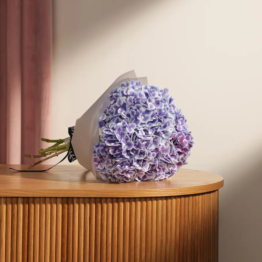 Hydrangea Magical Harlekijn Blue Bouquet 5