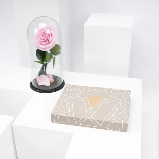 Preserved Pink Rose with LEVO Chocolate