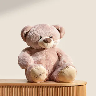 Floward Cute Brown Bear Plush Toy Floward Cute Brown Bear Plush Toy