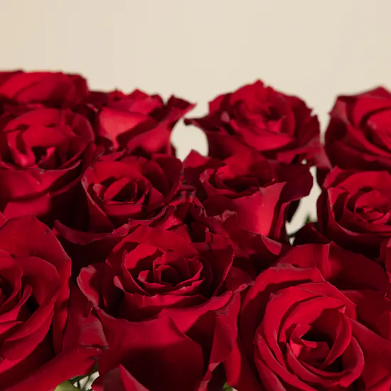 Teacher's Day Roses Giveaway