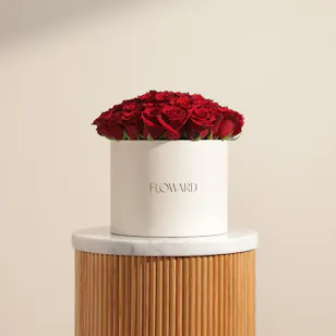 Romance Red Roses Box | 55 Flowers