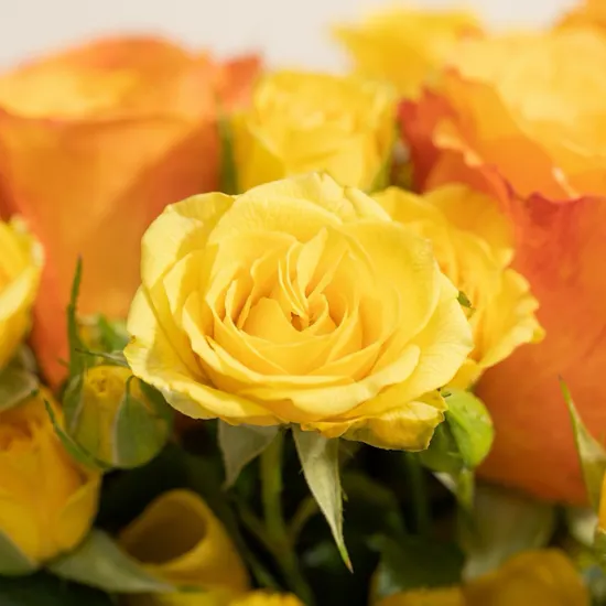 Golden Aura Flowers Vase