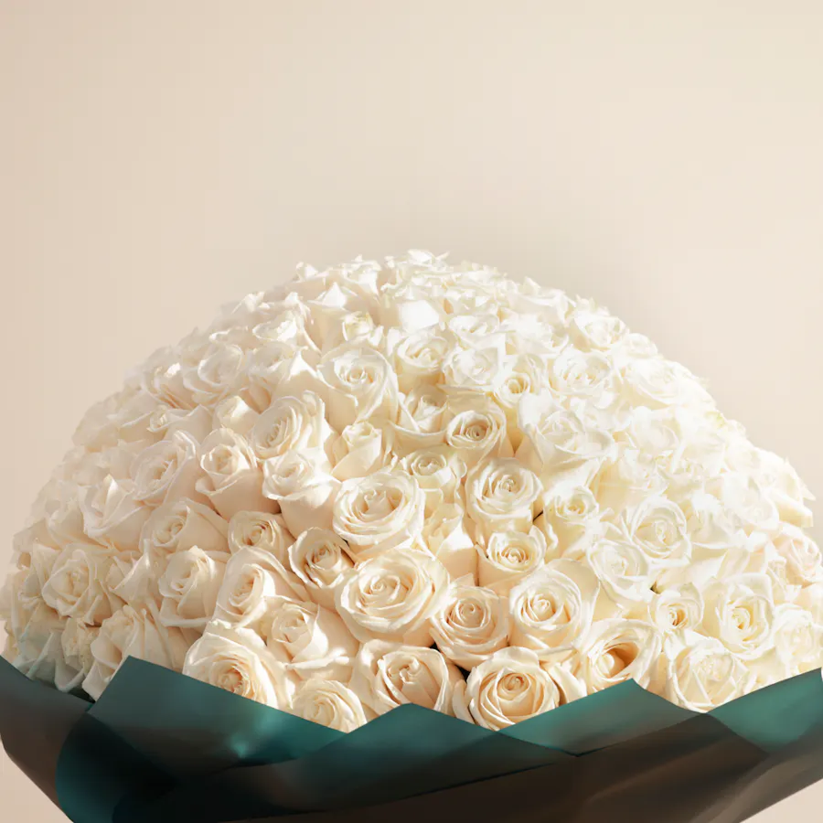 White Roses Bouquet | 250 Flowers 2