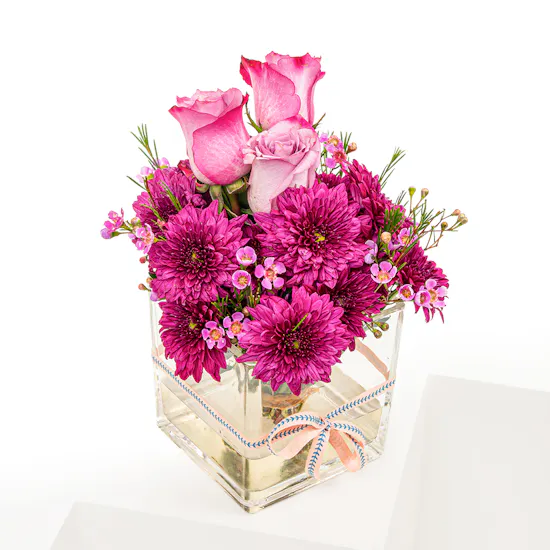 Svanah Dates with Chocolate Box | Purple Flowers