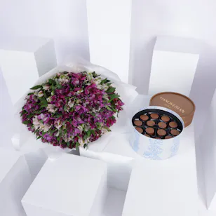 Hanoverian Mix Chocolate Box | Alstroemeria Hanoverian Mix Chocolate Box | Alstroemeria
