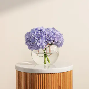 Purple Hydrangea  Vase