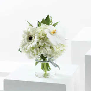 Pristine Elegance Medley Pristine Elegance Medley