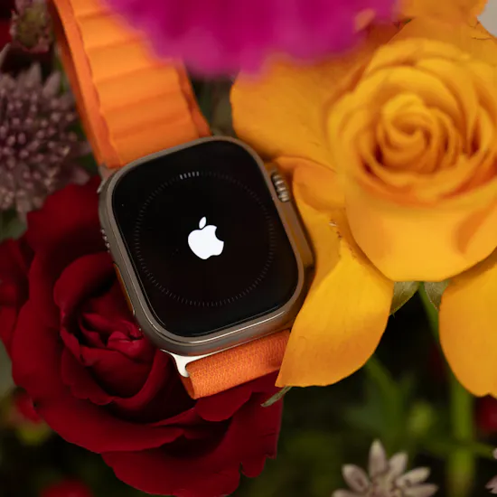 Apple Watch Ultra 2 GPS | Red Rose