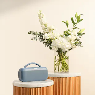 Bose SoundLink Max Portable Blue Speaker | Harmony Vase
