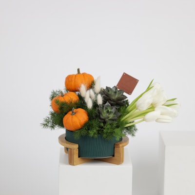 Fall Vase | Pumpkin & Tulips