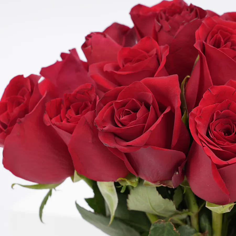 Hanoverian Chocolate with Caramel Box | Colors of Love Bouquet 4