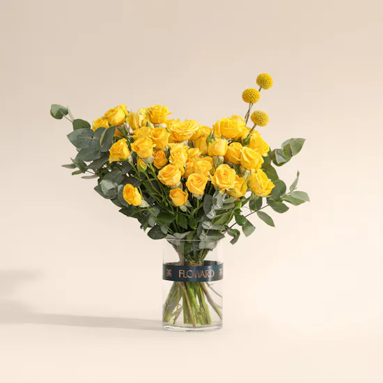 مزهرية زهور دفء النهار