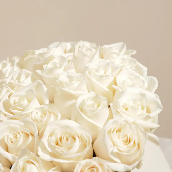 Ray of Hope White Roses Box | 55 Flowers