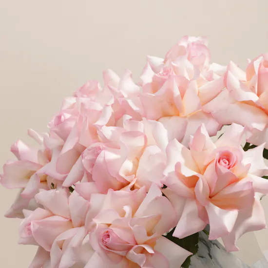 Delicate Roses Vase
