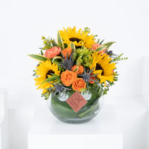 Sun Flower Rose