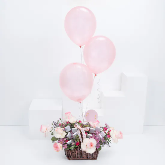 Welcome Baby Girl | Chocolates and Flowers